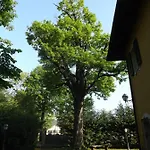 Mirano 4* Piossasco