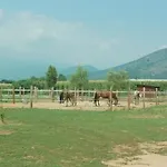 Mirano Piossasco