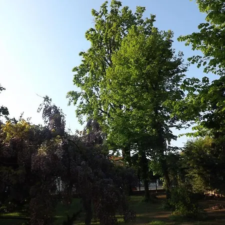 Bed & Breakfast Mirano 4*