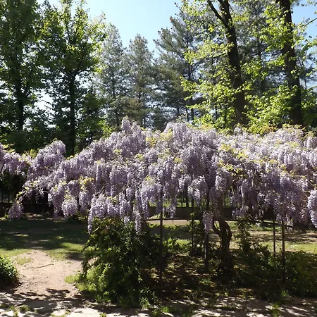 فندق مبيت وإفطار Mirano
