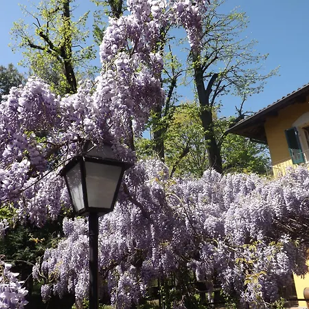 Mirano Bed & Breakfast