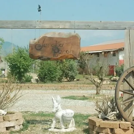 Bed & Breakfast Mirano Piossasco