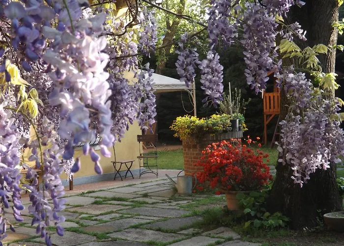 Mirano Bed & Breakfast 4*