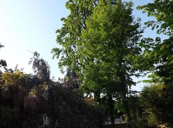 Bed & Breakfast Mirano 4*