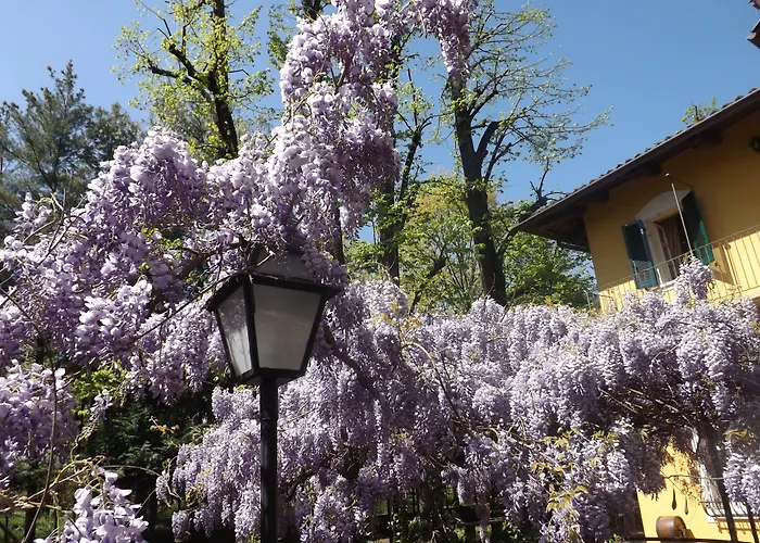 Mirano Bed & Breakfast